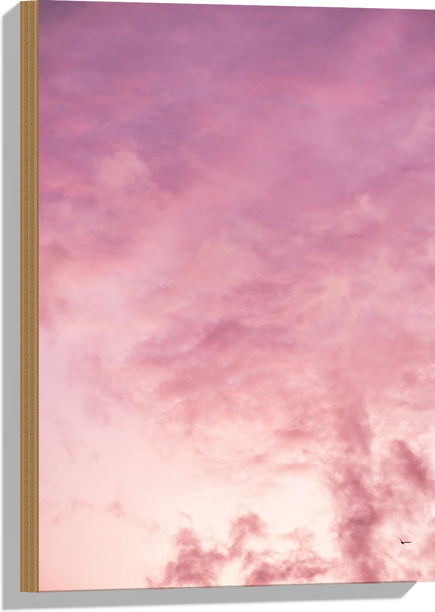 Hout - Zachtroze Lucht met Sluierbewolking - 40x60 cm - 9 mm dik - Foto op Hout (Met Ophangsysteem)