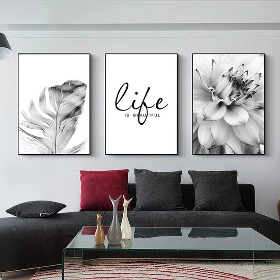 3 pièces Premium Poster Set Fleurs Esthétiques Noir Blanc Plume Pissenlit  Photos Art