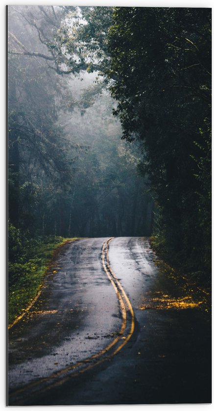 Dibond - Autoweg door de Bossen - 50x100 cm Foto op Aluminium (Wanddecoratie van metaal)