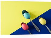 PVC Schuimplaat - Gekleurde Eieren op Lepels op Blauwe en Gele Vakken - 75x50 cm Foto op PVC Schuimplaat (Met Ophangsysteem)