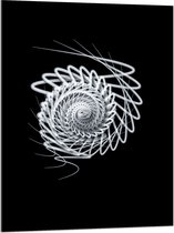 Acrylglas - Wit Slakvormig Object tegen Zwarte Achtergrond - 75x100 cm Foto op Acrylglas (Wanddecoratie op Acrylaat)
