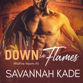 Livre audio numérique