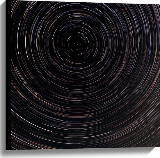 Canvas - Grote Lichtcirkels in de Lucht boven Rij Bomen - 60x60 cm Foto op Canvas Schilderij (Wanddecoratie op Canvas)