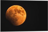 Vlag - Oranje Gloed over Maan - 60x40 cm Foto op Polyester Vlag