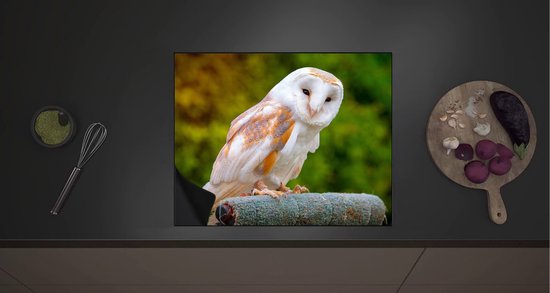 Inductieplaat Beschermer - Exotische Groene Kikker In Het Regenwoud 60x52 Cm 2 Mm Dik Inductie Beschermer Van Vinyl