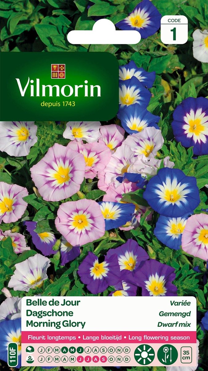 Vilmorin Dagschone- Morning glory- Belle de Jour mix V110F