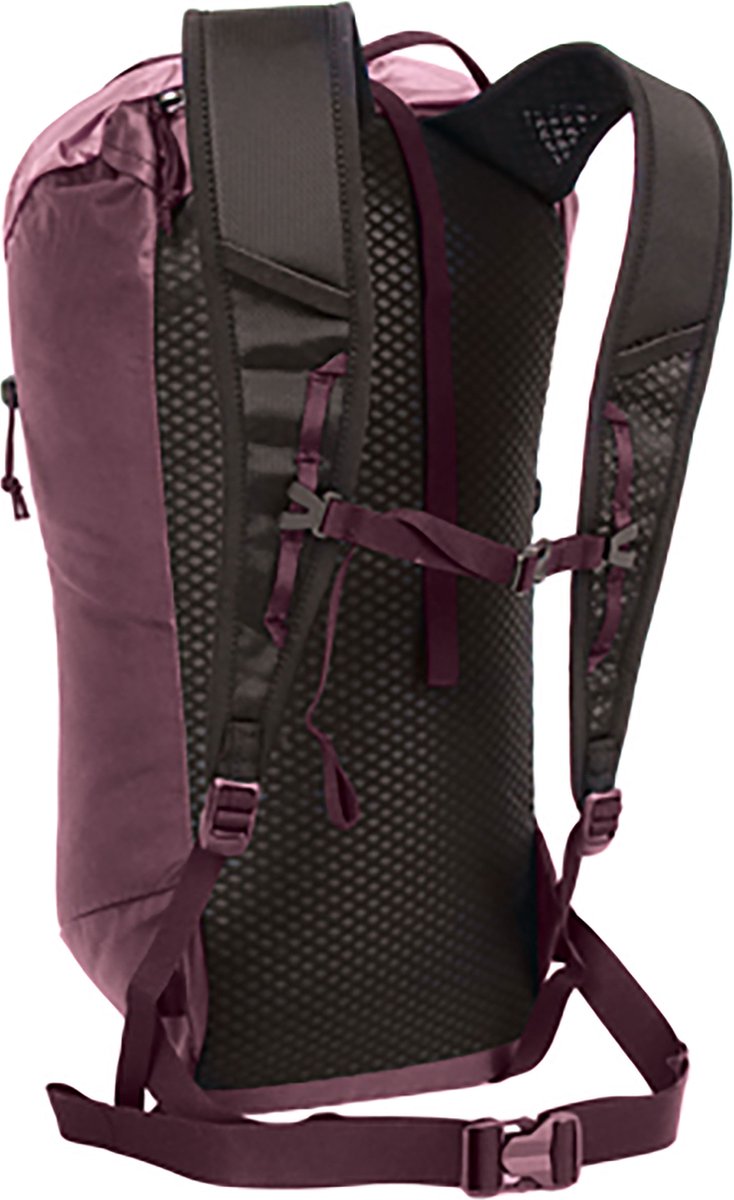 Blue Ice Dragonfly 18l Rugzak Rood