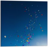 Dibond - Lucht Vol Gekleurde Ballonnen - 50x50 cm Foto op Aluminium (Wanddecoratie van metaal)