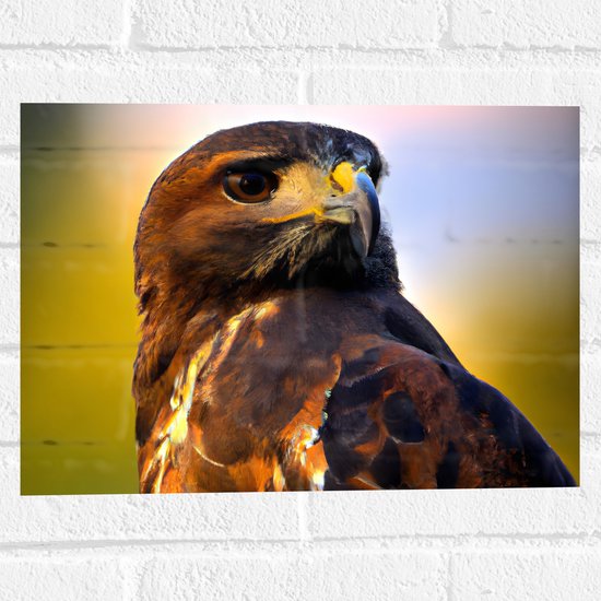 Muursticker - Poserende Roodstaartbuizerd Vogel - 40x30 cm Foto op Muursticker
