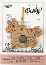 Blossombs bloembommetjes party hanger Lets Party!