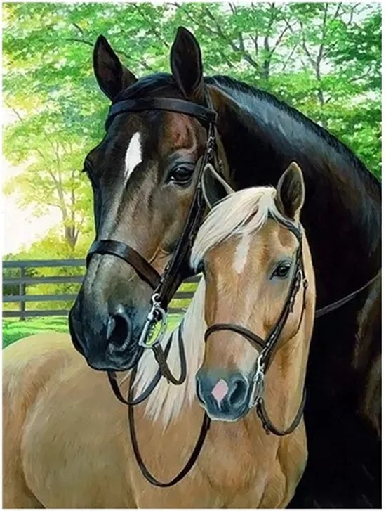 Diamond Painting paarden Painter® – 30x40cm