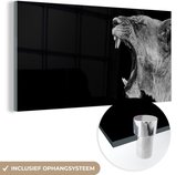 MuchoWow - Glasschilderij - Foto op glas - Dieren - Leeuw - Jungle - Zwart-wit - Wanddecoratie - 160x80 cm - Acrylglas - Muurdecoratie glas - Schilderij leeuw