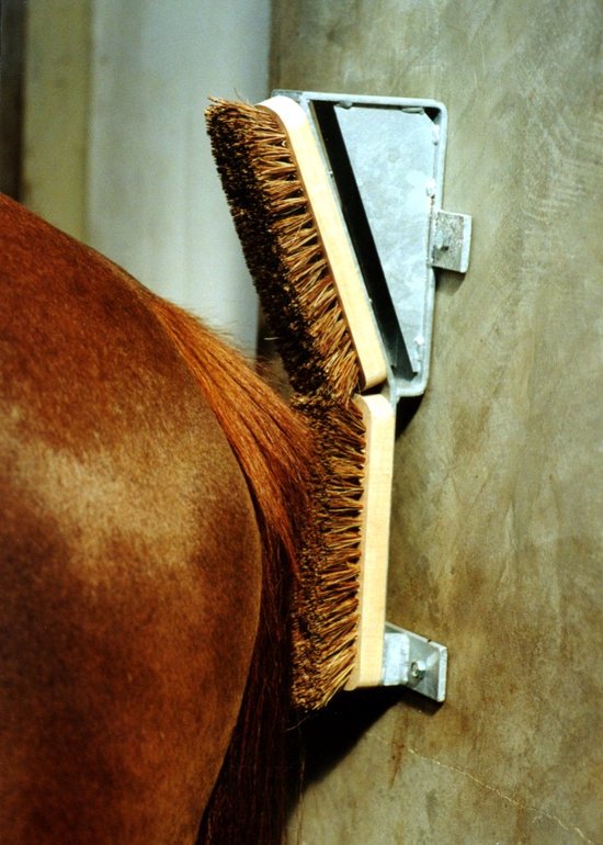 Paarden borstels - MAIR borstelframe - Voor paarden met jeuk. - Borstelshop