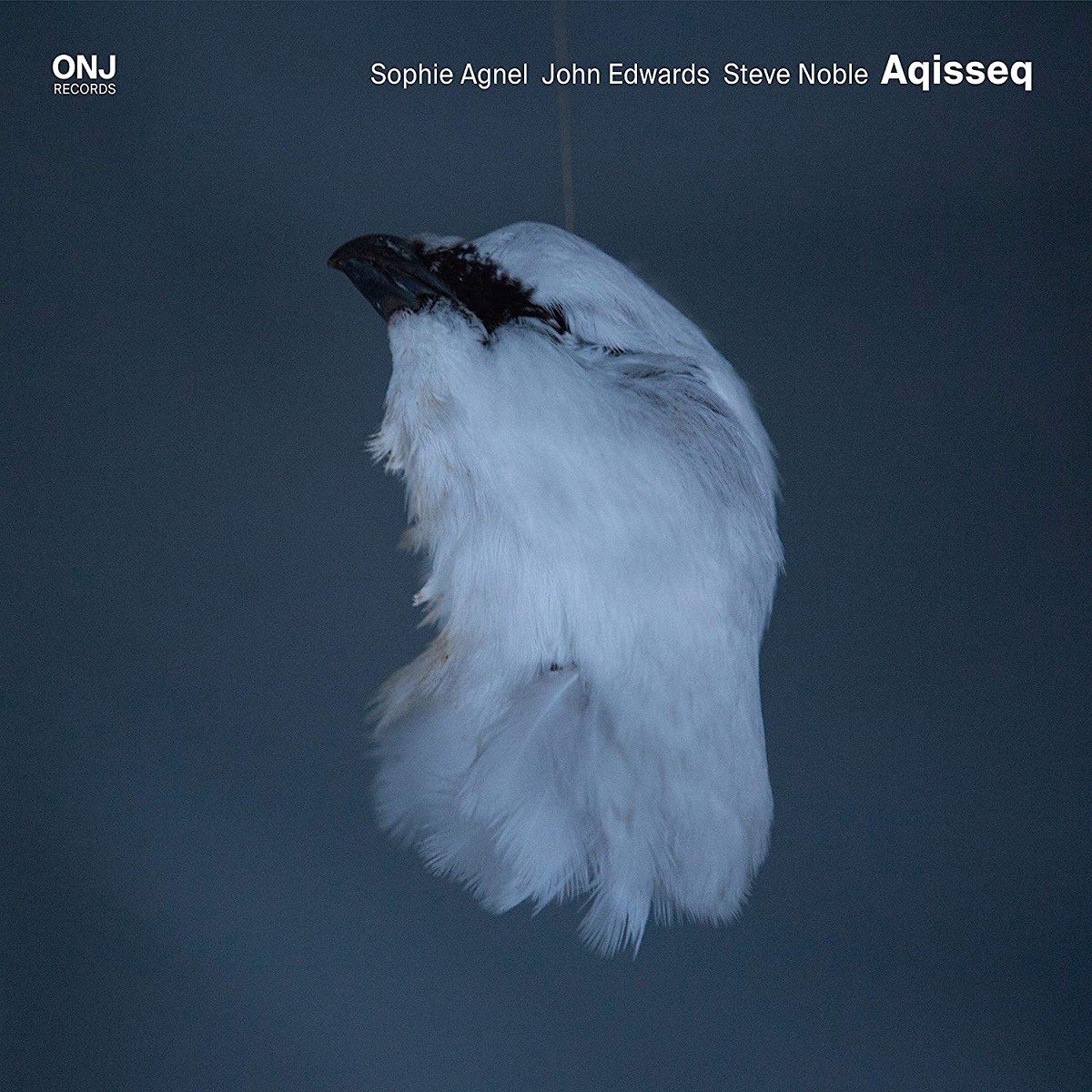 Sophie Agnel, John Edwards, Steve Noble - Aqisseq (CD)
