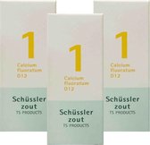 Pfluger Schussler Zout nr 1 Calcium Fluoratum D12 - 3 x 100 tabletten