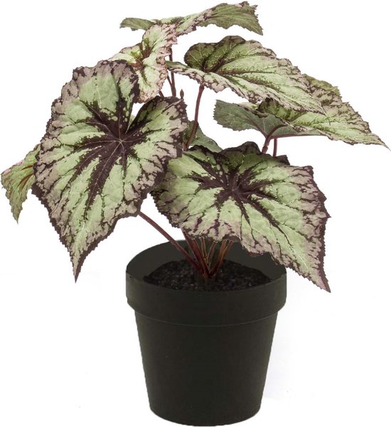 Emerald - Kunstplant in pot Begonia grijs/paars 25cm - Kunstplanten voor binnen