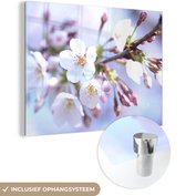 MuchoWow® Glasschilderij 160x120 cm - Schilderij acrylglas - Bloemen - Sakura - Tak - Bloesem takken - Foto op glas - Schilderijen