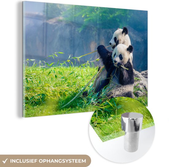 MuchoWow - Glasschilderij - Acrylglas - Panda - Bamboe - Natuur - Muurdecoratie - Schilderij glas - 90x60 cm - Wanddecoratie - Foto op glas