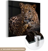 Glasschilderij luipaard - Boomstam - Dieren - Portret - Wanddecoratie - Woonkamer - 50x50 cm - Schilderij glas - Foto op glas - Woonaccessoires