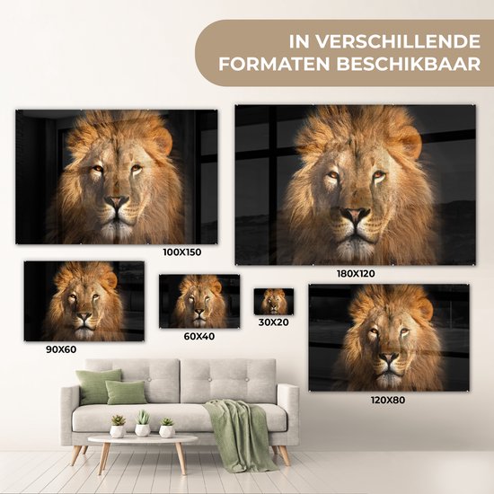 Peinture sur verre - Verre acrylique - Lion - Zwart - Animal - Décoration murale - Peinture sur verre - 150x100 cm - Photo sur verre