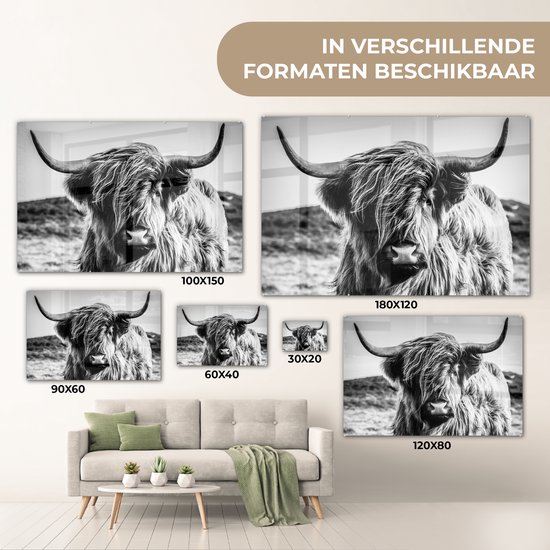 Peinture sur verre - Photo sur verre - Highlander écossais - Nature - Vache - Zwart et blanc - Verre acrylique - Décoration murale - 150x100 cm - Peinture sur verre Highlander écossais - Peinture sur verre - Décoration d'intérieur