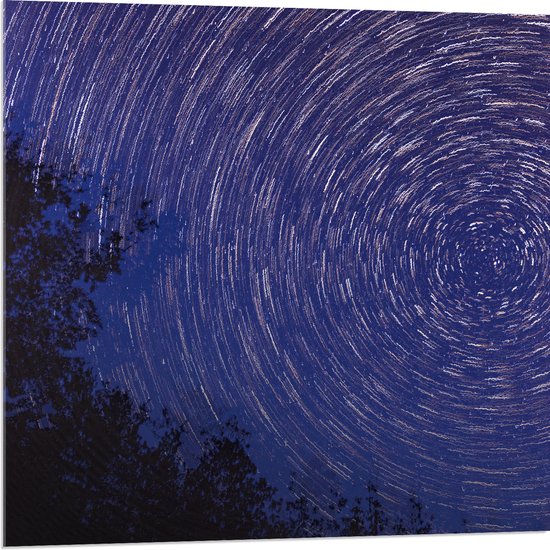 Acrylglas - Lichtcirkels in de Lucht boven Silhouet van Boomtoppen - 80x80 cm Foto op Acrylglas (Wanddecoratie op Acrylaat)