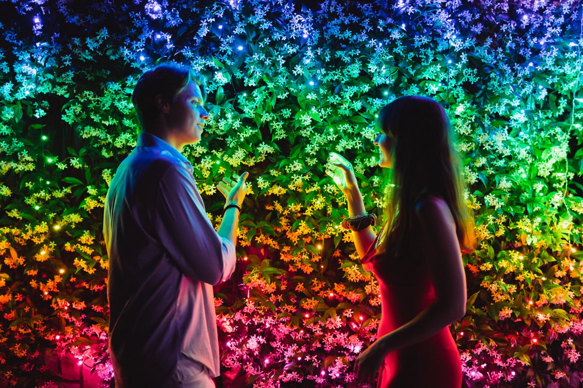 Twinkly Strings Lichtsnoer - 32M - LED - 400LED RGB - Dimbaar - Binnen & Buiten - Bluetooth of Wifi - Werkt met Homekit, Homey, Google Home en Razer Chroma - Zwart – foto 8