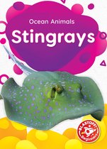 Ocean Animals - Stingrays
