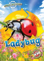 Animal Life Cycles - Animal Life Cycles: Ladybug