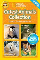Cutest Animals Collection