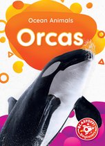 Ocean Animals - Orcas