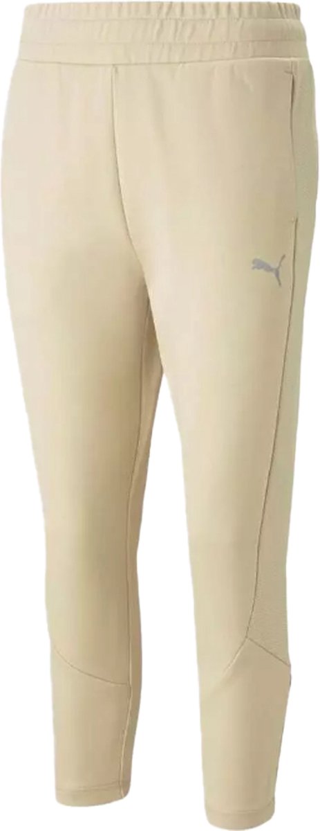 PUMA EVOSTRIPE BROEK 67311888 r Bruin