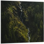 WallClassics - PVC Schuimplaat- Klein Stromend Water tussen Dichtbegroeide Groene Bomen - 100x100 cm Foto op PVC Schuimplaat