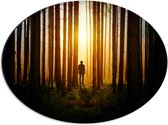 Dibond Ovaal - Man in Bos met Hoge Bomen tijdens Felkleurige Zonsondergang - 56x42 cm Foto op Ovaal (Met Ophangsysteem)