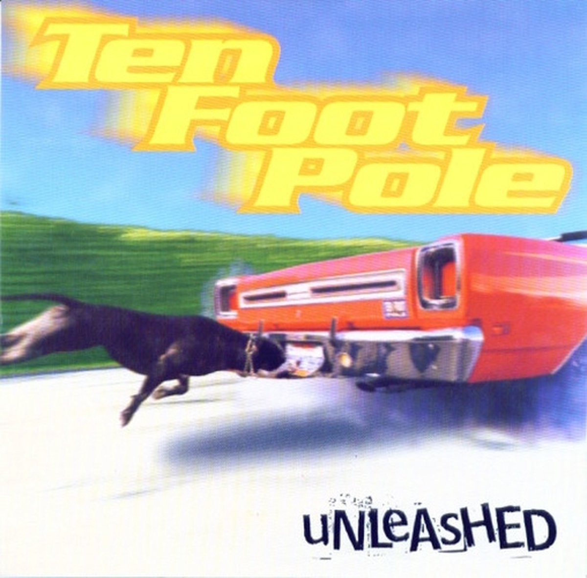 Unleashed