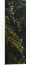 WallClassics - Panneau en mousse PVC – Klein Water qui coule entre des Arbres verts denses – Photo 20 x 60 cm sur panneau en mousse PVC