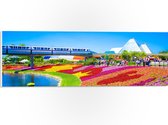 WallClassics - PVC Schuimplaat - Kleurrijk Bloemenveld in Park - 60x20 cm Foto op PVC Schuimplaat (Met Ophangsysteem)