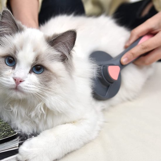 Peigne d'épilation pour animaux domestiques, épilateur à poils d'animaux,  brosse pour chat et chien