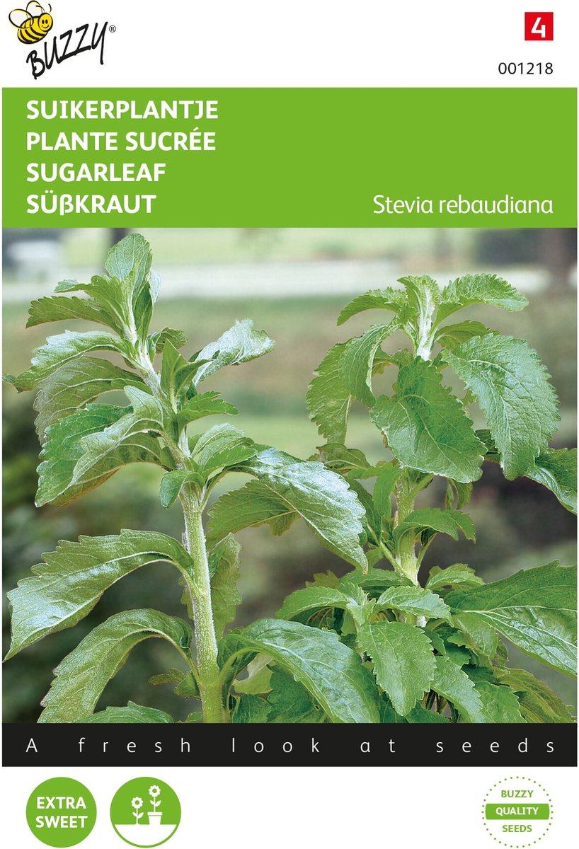 suikerplantje_Stevia rebaudiana (honingkruid)