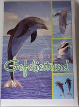 Van harte gefeliciteerd met je verjaardag! Een bijzondere kaart met verschillende afbeeldingen van dolfijnen die het naar hun zin hebben in het water. Een dubbele wenskaart inclusief envelop en in folie verpakt.