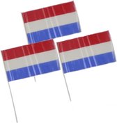 Lifetime Nederlandse Hand Vlaggen - 12 Stuks