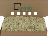 MosBiz Rendiermos Natural per 1000 gram voor decoraties en mosschilderijen