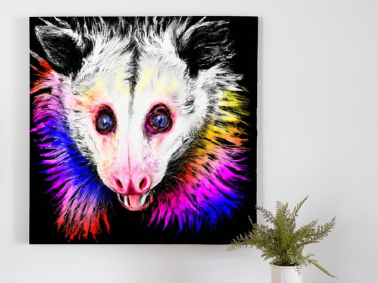 Impossible opossum | Impossible Opossum | Kunst - 60x60 centimeter op Canvas | Foto op Canvas - wanddecoratie schilderij