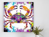 Totally crab kunst - 60x60 centimeter op Plexiglas | Foto op Plexiglas - wanddecoratie