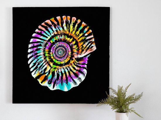 Colorful clam burst | Colorful Clam Burst | Kunst - 60x60 centimeter op Canvas | Foto op Canvas