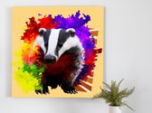 Vibrant Badger Burst kunst - 100x100 centimeter op Canvas | Foto op Canvas - wanddecoratie