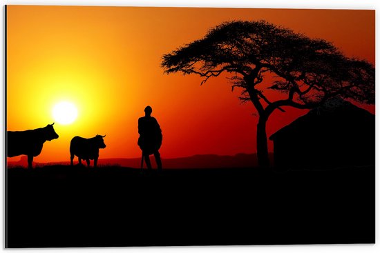 Dibond - Silhouet van Boer met zijn Koeien bij Huis - 60x40 cm Foto op Aluminium (Met Ophangsysteem)