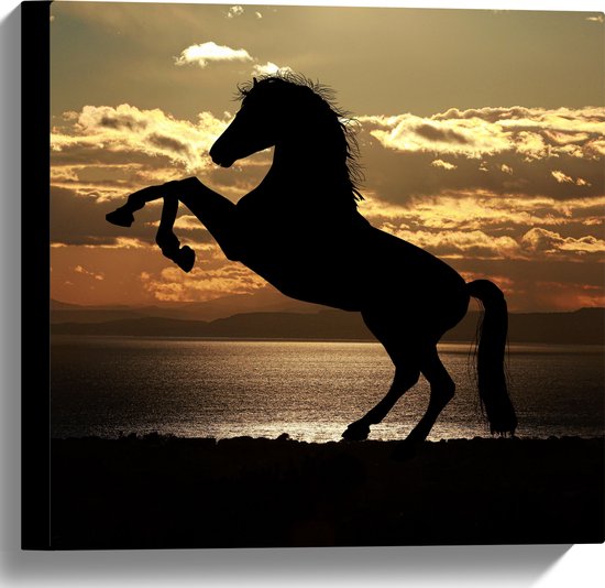 Canvas - Silhouet van Stijgend Paard aan de Kust tijdens Zonsondergang - 40x40 cm Foto op Canvas Schilderij (Wanddecoratie op Canvas)