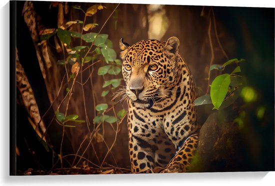 Canvasprint van een sluipende jaguar met doordringende oranje ogen in een dichte, donkere jungle-omgeving.