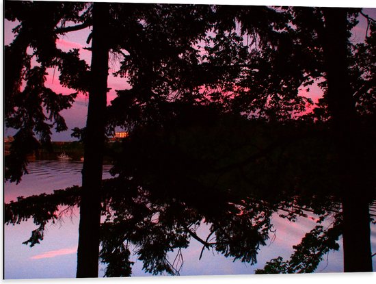Dibond - Silhouet van Bladeren aan Bomen bij Groot Meer tijdens Rozekleurige Zonsondergang - 80x60 cm Foto op Aluminium (Wanddecoratie van metaal)